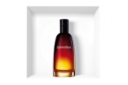 Christian Dior Fahrenheit - Туалетная вода (тестер)