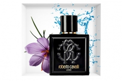Roberto Cavalli Uomo - Туалетная вода
