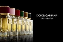 Dolce&Gabbana Velvet Patchouli - Парфюмированная вода