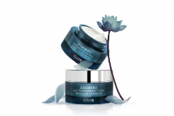 Восстанавливающий дневной крем - Ga-De Essences Skin Regeneration Day Cream