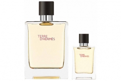 Hermes Terre D'Hermes - Набор (edt 100ml + edt 12,5ml)