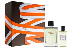 Hermes Terre D'Hermes - Набор (edt 100ml + sh/gel 80ml)