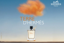 Hermes Terre dHermes - Туалетная вода